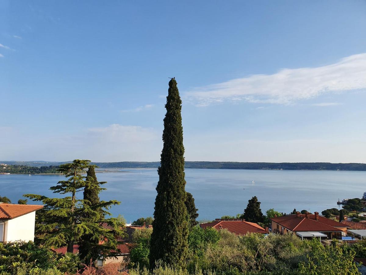 Vila Rosa Portoroz Bagian luar foto