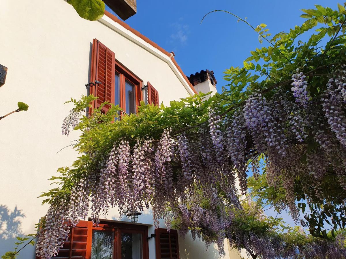 Vila Rosa Portoroz Bagian luar foto