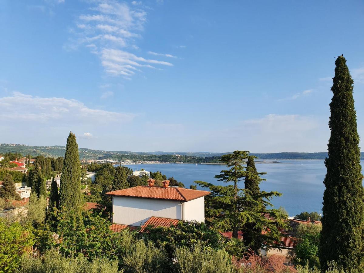 Vila Rosa Portoroz Bagian luar foto